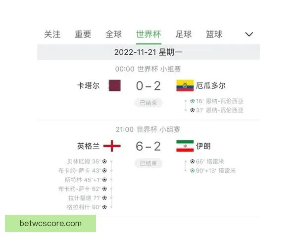 世界杯竞猜盘口深度分析与赛事走势预测技巧分享